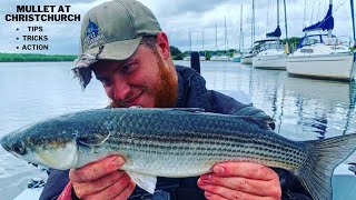 Mullet Fishing UK - Mullet On Spinner Lures, Mental Action #seafishing #lurefishing
