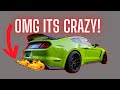 OMG I Did Something...Shelby GT350 Is CRAZY Loud!