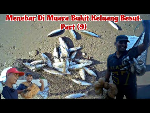 Castnet/Fishing, Menebar Di Muara Bukit Keluang Besut. Part (9) @semuaorangyoutube