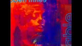 Robert Miles feat Fiorella Quinn - Fable [Vocal Mix]