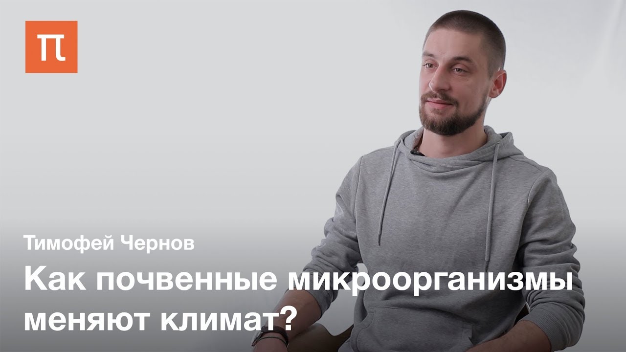Микроорганизмы в почве