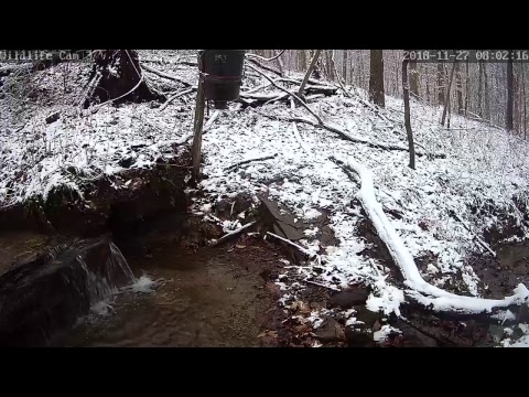 webcamera stegna Live Deer & Wildlife Webcam 3