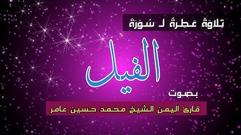 سورة الفيل| الشيخ العلامة_محمد حسين عامر