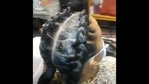 Stitch Braids With Ponies in Tucson Arizona text 520-808-2465 text only