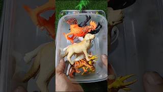 Satisfying ASMR Animal Toys, Safari Animals Toy Unboxing, Tiger, Dogs, #satisfying
