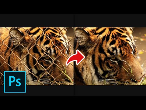 How to Remove a Chain-Link Fence Using a Brush Tool in Photoshop