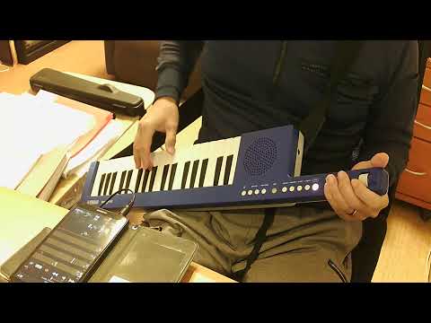 Canary Yellow / 内田彩　ショルキー弾き語りしてみた