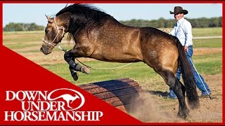 Clinton Anderson: Obstacle Course Training at the Ranch Rally - Downunder Horsemanship
