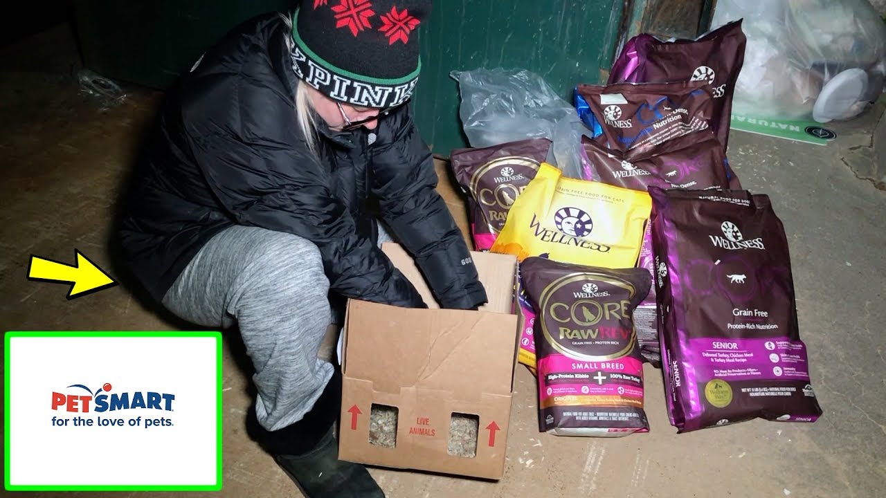 petsmart-manager-left-us-a-surprise-in-their-dumpster-this-is-crazy