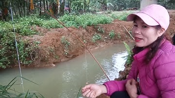 Cận cảnh câu cá chép, cá diếc phao bềnh lưỡi đơn