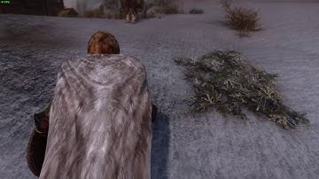 Skyrim Special Edition - ENB Lighting Issue