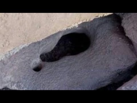 قوة الوصف في الميدان مع التحليل محترف استاذ ابو الجرار