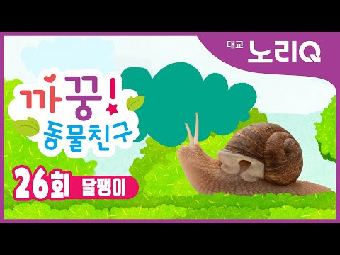 까꿍! 동물친구ㅣ자연관찰ㅣ달팽이ㅣBabies&KidsㅣPikaboo! Animal friendsㅣSnailㅣDaekyo noriQ l 대교 노리Q