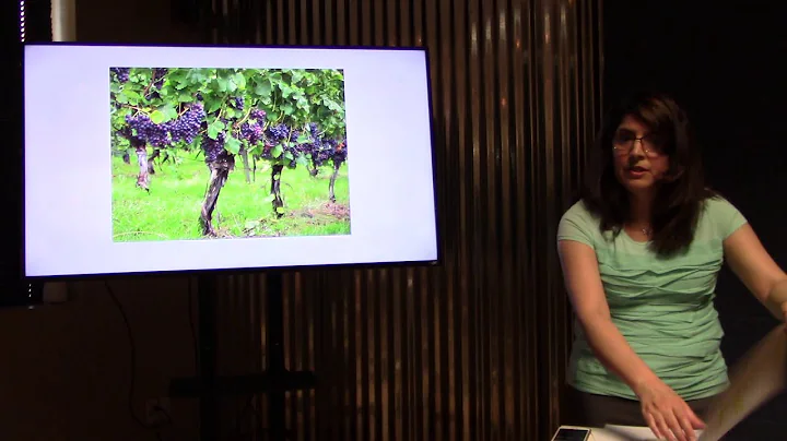Heidi Saheli Sermon Anxiety and Abiding in the Sou...