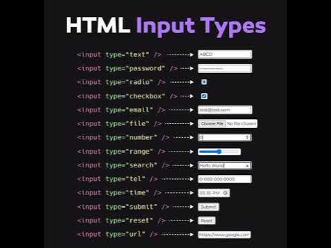 most important HTML input types - YouTube