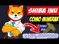 NOVA MINERADORA DE SHIBAINU MINERE 14.400 SHIBA NO FREE POR DIA