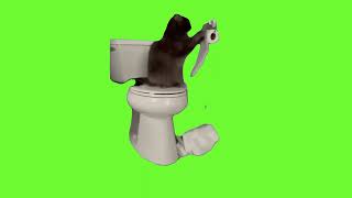 Funny cat toilet paper green screen #shorts #viralcats