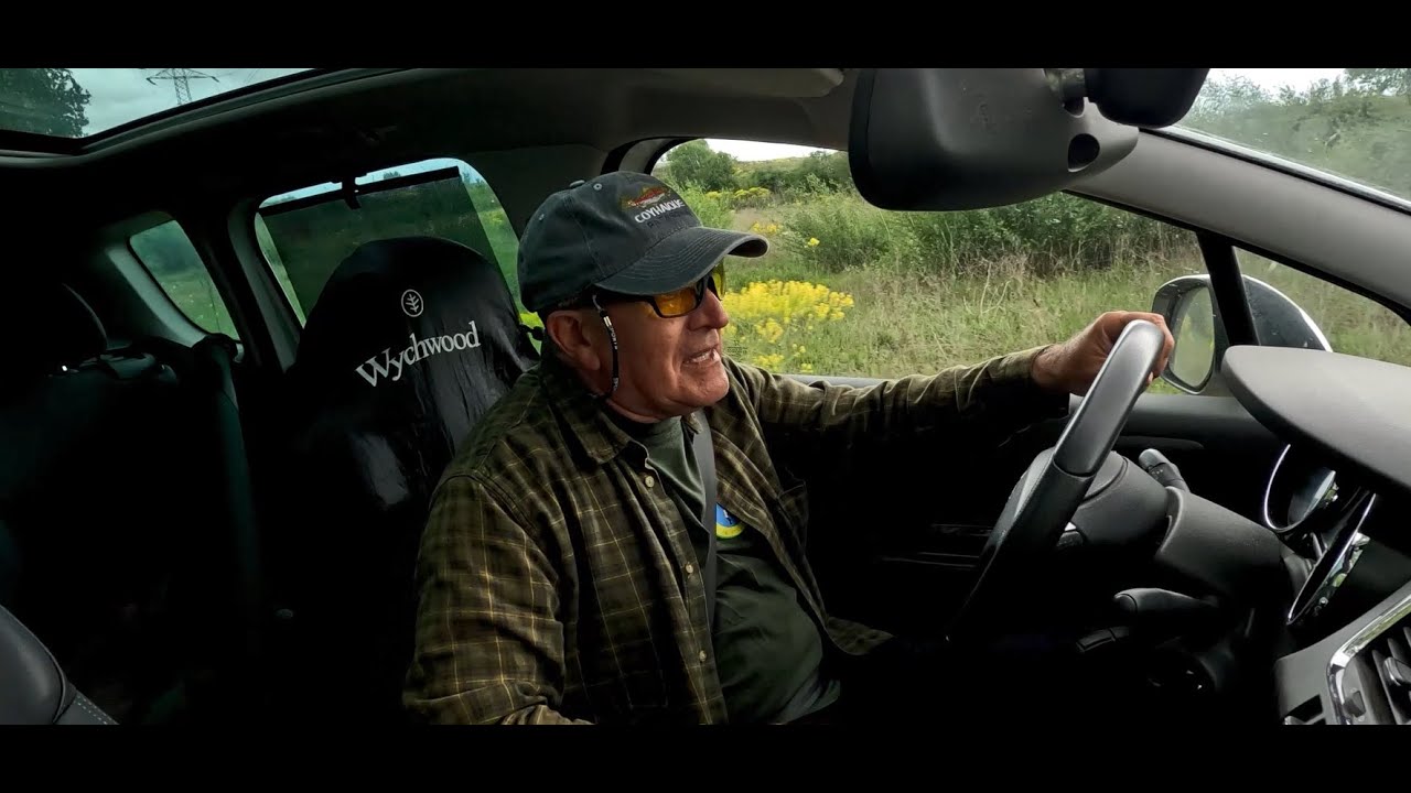 EL 6 DE GÜTERMANN Y LA CURVA EMERGENTE TOSTADA