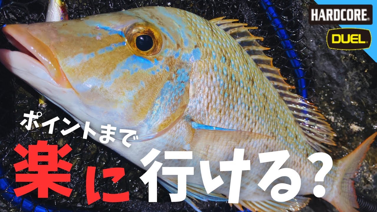 タマン・ガーラ × ポイントまで楽に行ける？ × 沖縄釣り × 北部 ＃378