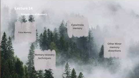 PSY213 Lecture 14 : Part 1