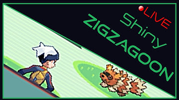 [Full Odds] Well... | Shiny Zigzagoon | 459 Random Encounters | Pokemon Sapphire SBQ