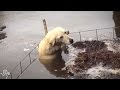 Reporters Jump Into Floodwaters To Rescue Stranded Dog