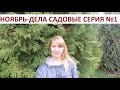 Ноябрь - дела садовые серия №1