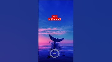 #قرآن_كريم #اسلام_صبحي #committonothing #قرآن #راحة_نفسية #fly #e4n #اجر_لي_ولك #flyp #تلاوة_هادئة