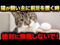 【9割が知らない】猫が飼い主に前足を乗せる理由。人間語で言うとやばかった