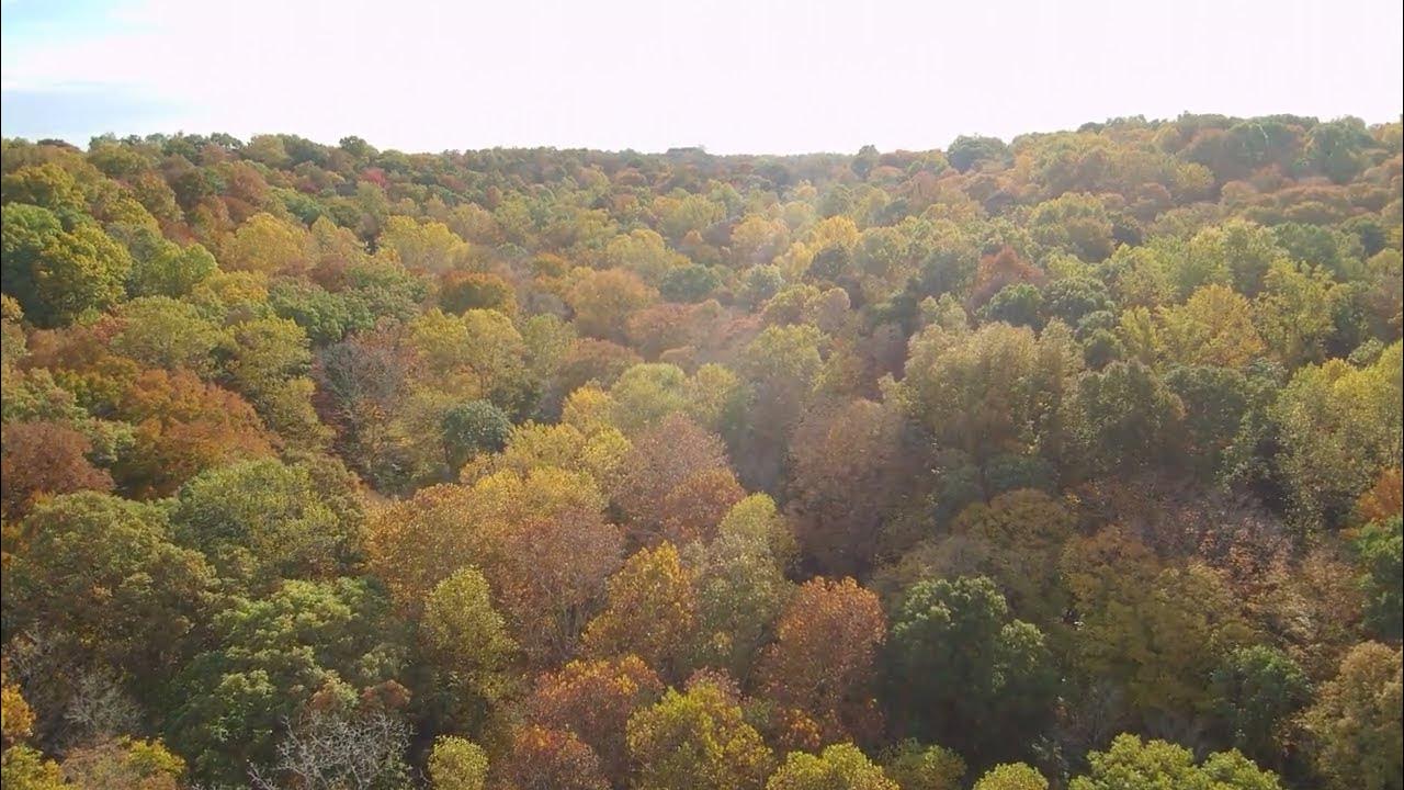 White Oaks Cabins Drone Footage Taswell Indiana, Near Patoka Lake