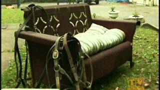 Davy Jones Horsin Around  2006