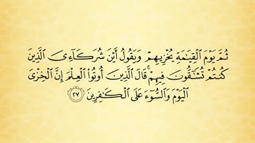 شرح أحكام التجويد  لسورة النحل من الآية رقم 27 إلى 30