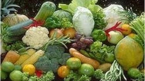 Introduction to Horticulture Part II