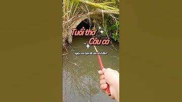 Trở Về Tuổi Thơ Với Cần Câu Tre - Câu Cá Theo Cách Xưa #CầnCâuTre #CâuCáTuổiThơ #TrởVềQuáKhứ