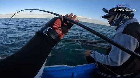 Cần Lure, Shore jig Tsurinoya Mystery