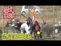 【魔球】突然急降的曲球！跟SB武田翔太有得拼！？｜TokusanTV