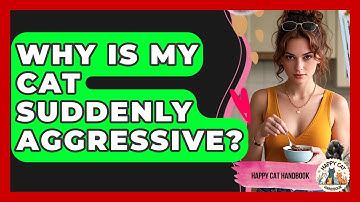 Why Is My Cat Suddenly Aggressive? - Happy Cat Handbook
