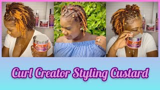 The Mane Choice Curl Creator Styling Custard// Was it Worth it ??? //Twist Out on Fine natural Hair