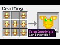 Minecraft, But I Can Craft Any Armor...