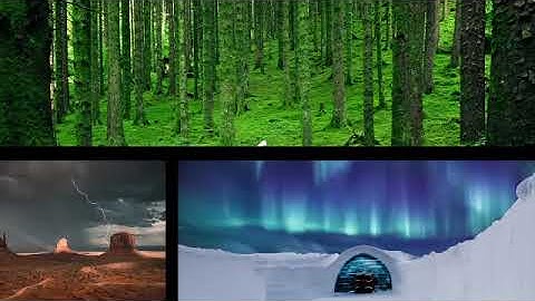 Split Screens Kit | Davinci Resolve Template