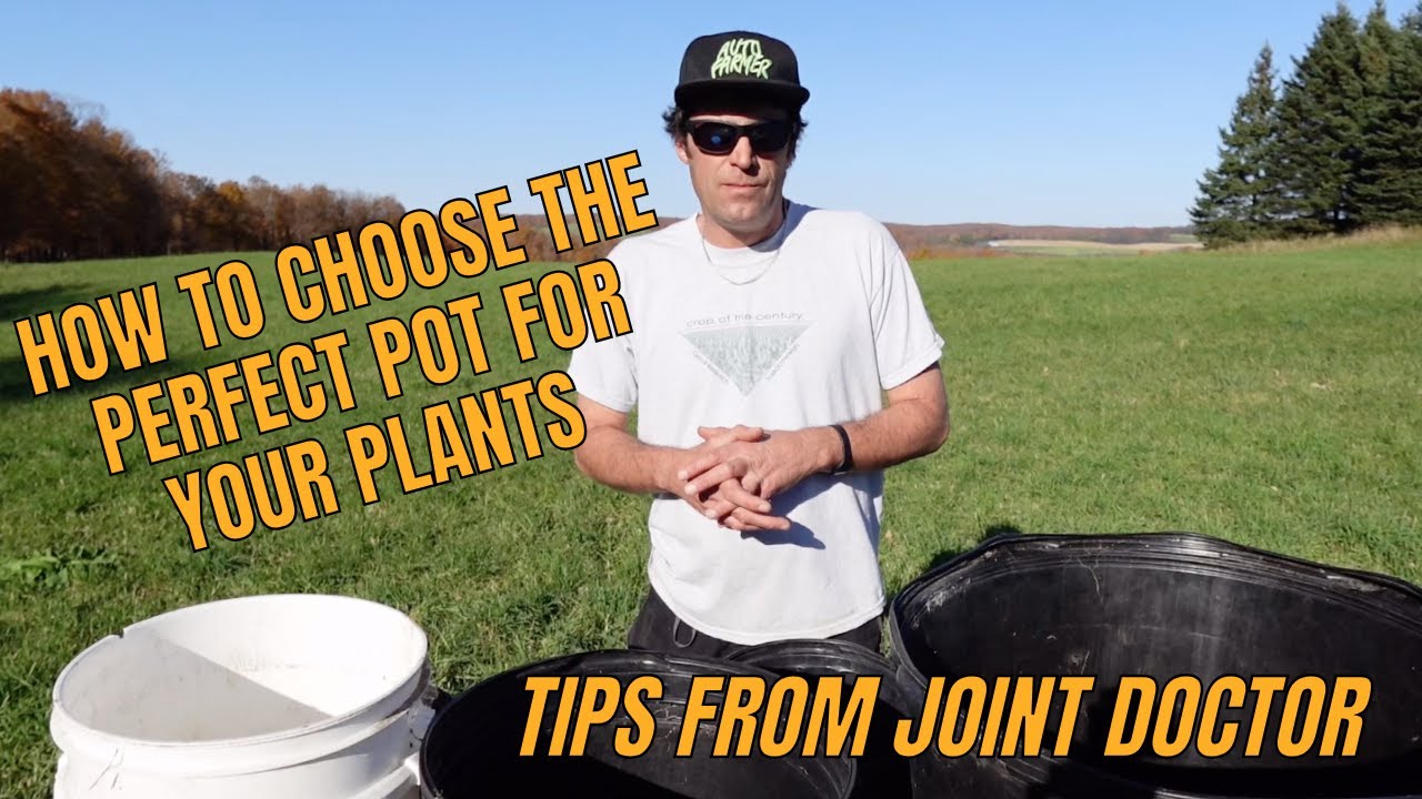 How to Choose the Perfect Pot for Your Plants 🌱