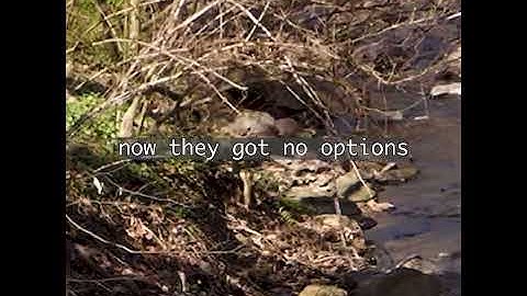 Nourished By Time - Hell of a Ride LYRIC VIDEO