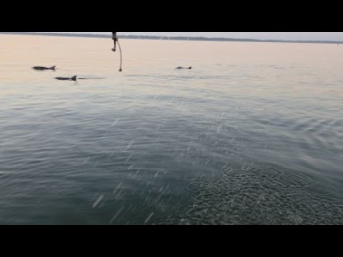 ⁣Hilton head, on relax