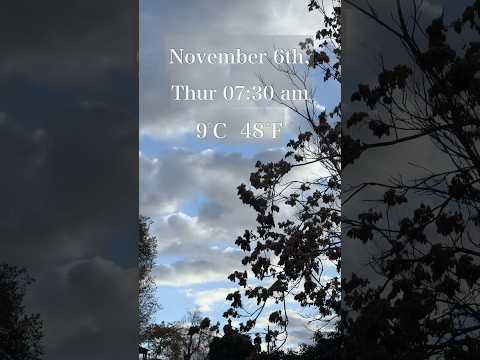 2025.11.06 #daily #look #outfit #ootd #style #grwm #fall #poloralphlauren #vans