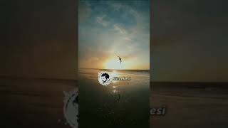 Whatsapp Tüm Verilerimi - Şiir Lekesi