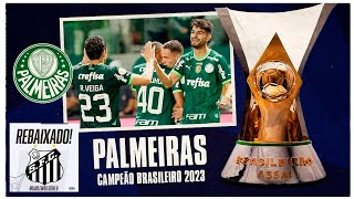 serieA #gol #palmeiras #campeao #santos #rebaixamento #futebol #premi