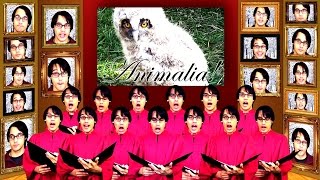 Animalia Chorus! | A Capella Science