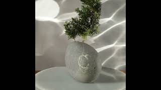 ваза из камня "рыба-парусник"  #sad_kamney #stones #stoneart #interior #flowers #decor #homedecor