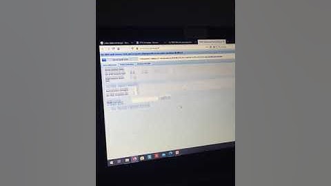 IQ TREE Tutorial