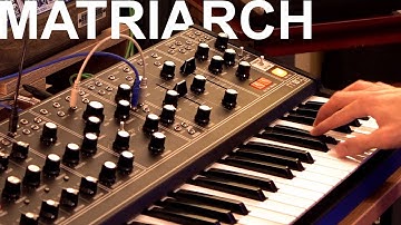 The Moog Matriarch is a very good synthesizer (no talking)